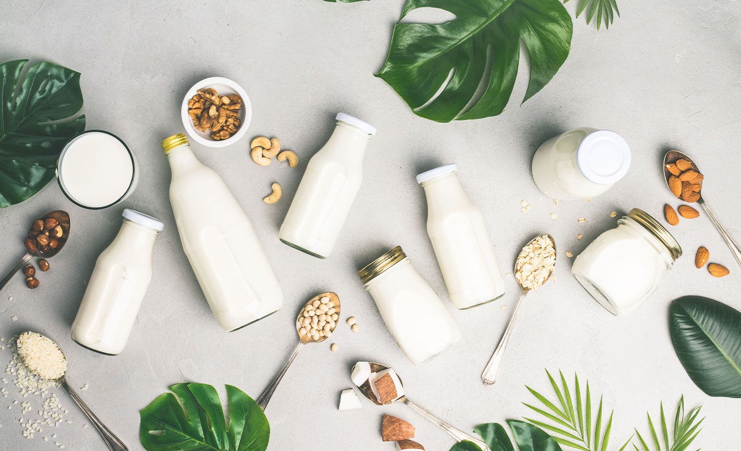 Ligne de production de transformation des aliments liquides : guide d'équipement, de conception et d'investissement